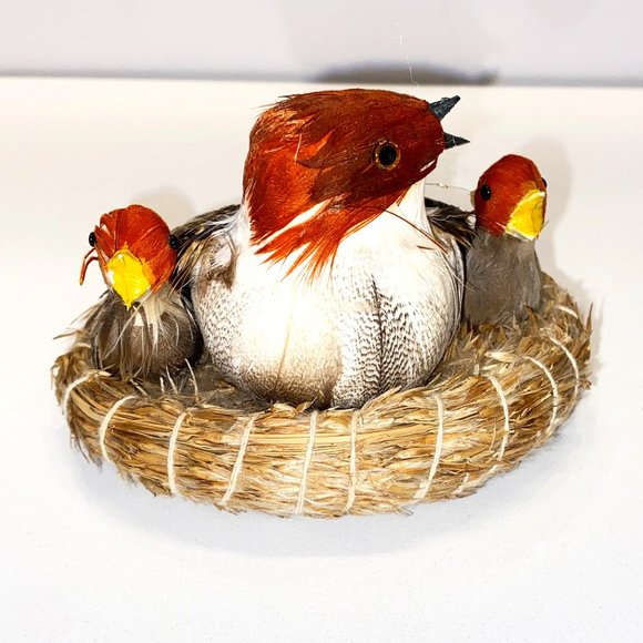 Bird in Nest Display Babies and Mother Feathers Decor Nature Wildlife Ornament - Picture 1 of 5